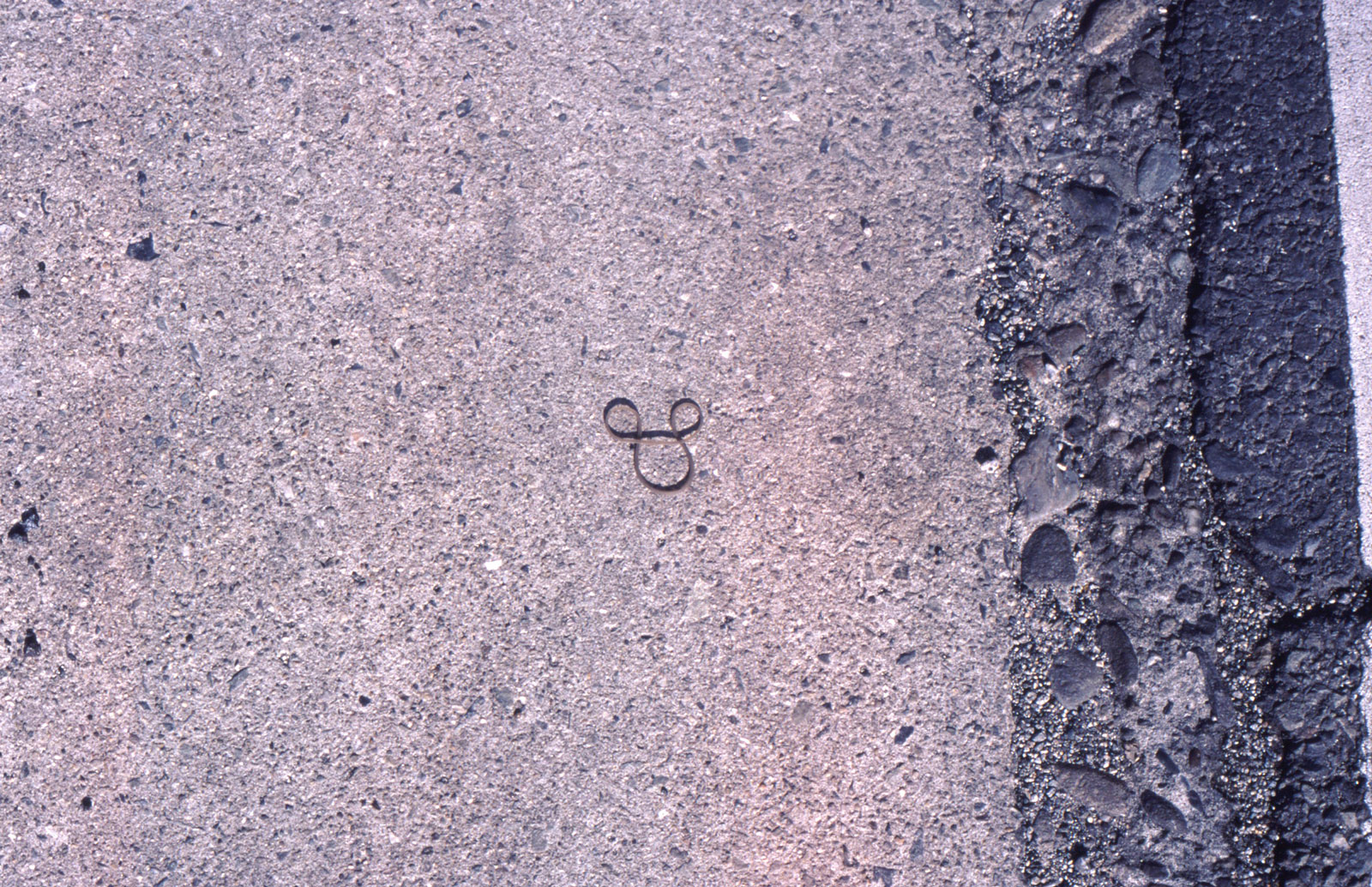 http://www.matthiashuser.com/files/gimgs/1_mickey-mousboden.jpg